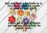 Wildflower seed bomb - If Bridesmaids were flowers I'd pick you
