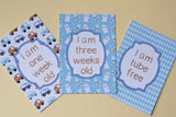Blue Retro Premature Baby Journey Cards ®