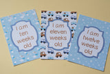 Blue Retro Premature Baby Journey Cards ®