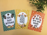 Twin -Multiples Journey Cards ® Forest Animals