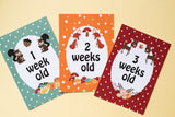Forest Animal Baby Journey Cards ®
