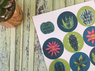 Luxury Large Cactus Succulent Floral - Happy Post Stickers - Happy Mail
