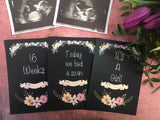 Pregnancy Journey & Reality Cards ® Chalkboard Floral