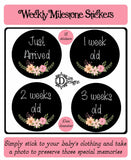 Weekly Journey Stickers - Chalkboard Floral