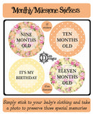 Monthly Journey Stickers - Bright Floral