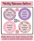 Weekly Journey Stickers - Bright Floral